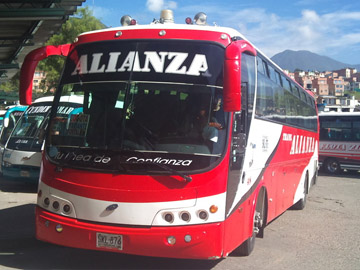 alianza