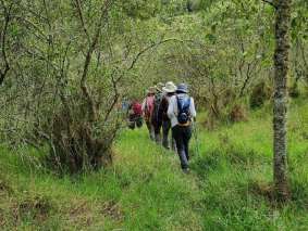 caminata 1