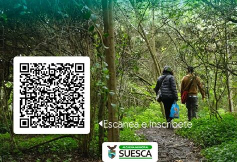 Parchando Caminata Running