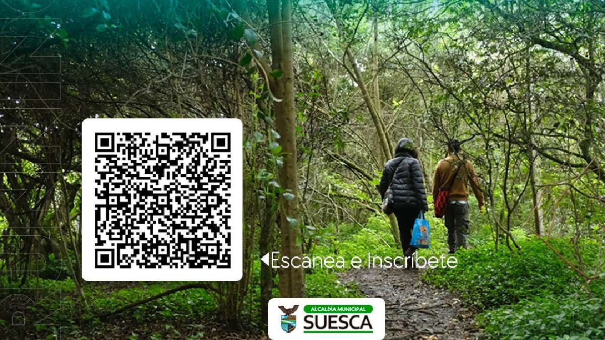 Parchando Caminata Running