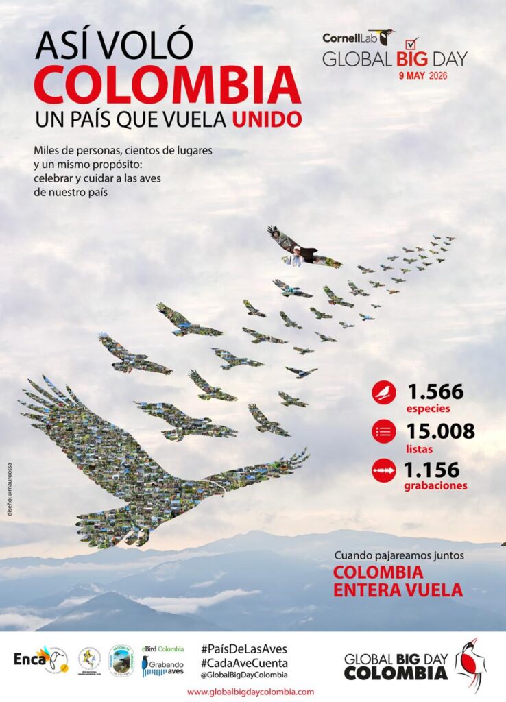 Así voló Colombia big day