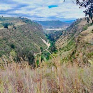 parque lineal