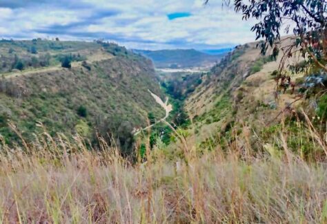 parque lineal