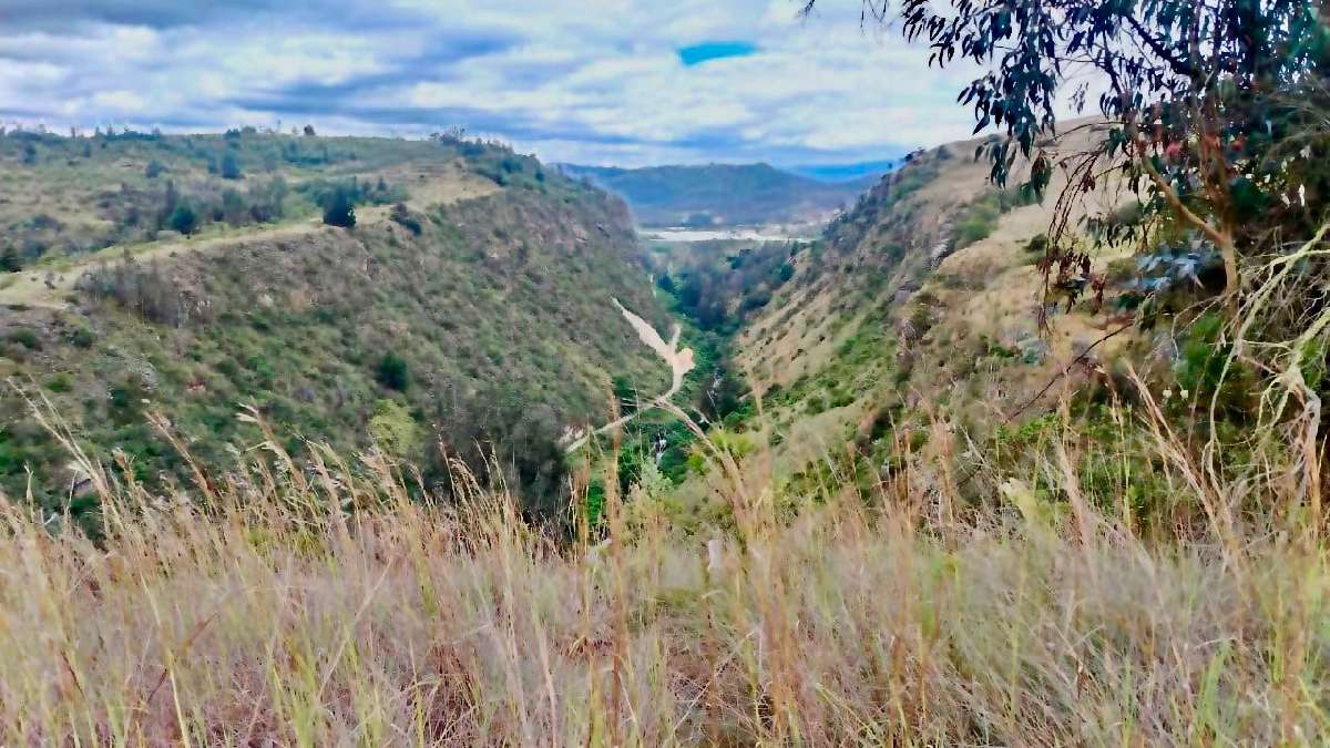 parque lineal